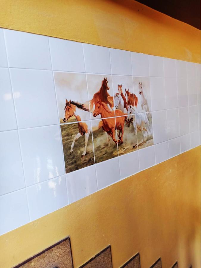 Kookkai House Hostel Patong Ngoại thất bức ảnh
