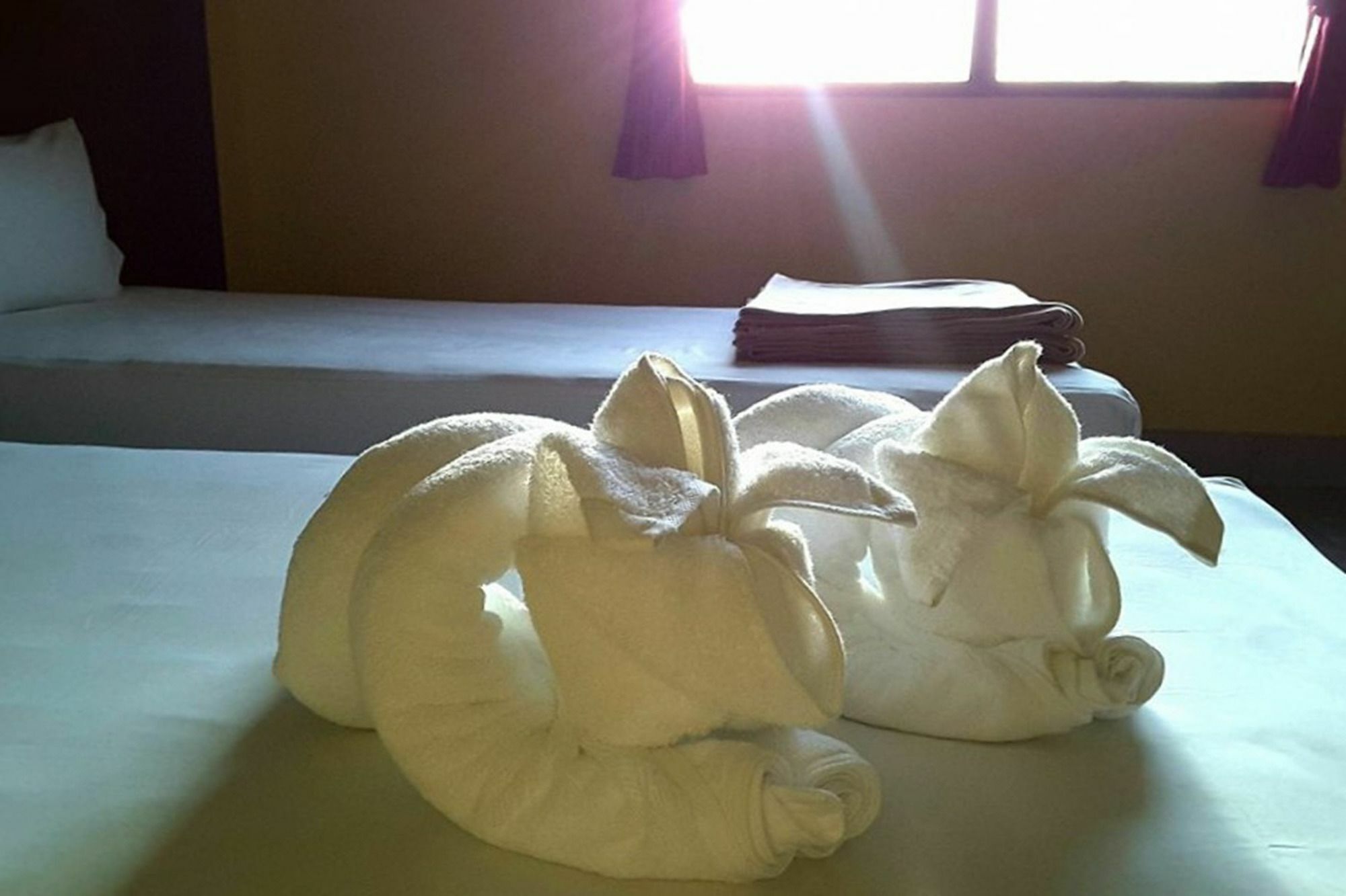 Kookkai House Hostel Patong Ngoại thất bức ảnh